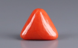 Red Coral - TC 5136 (Origin - Italy) Limited - Quality